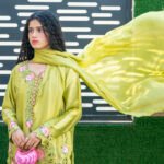 Noor -e - Eid cutwork Suit | Short Shirt 3 PCS Outfit gallery image thumbnail #2